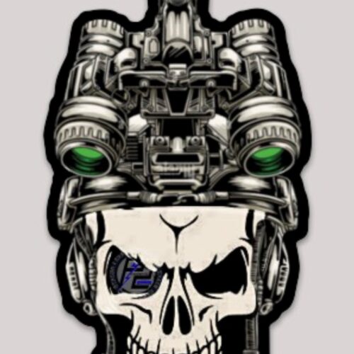 P2 Concepts NVG Skull - 2.5 x 4" Sticker